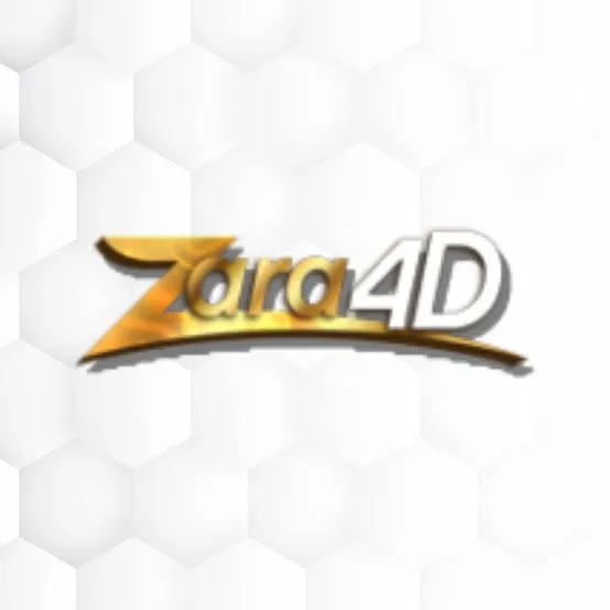 zara4d APK Tycoon